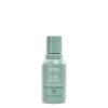 AVEDA Scalp Solutions Balancing Shampoo Travel Size