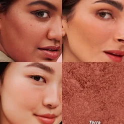 Benefit Powder Terra Golden Brick-Red Blush.