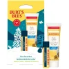 Burt's Bees Hive Favourites Vanilla Duo