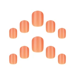 Elegant Touch Core Colour Apricot Crush