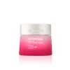 Estée Lauder Nutritious Melting Soft Crème Moisturiser / Mask