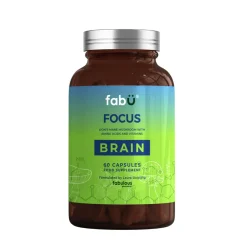 fabÜ Focus Brain