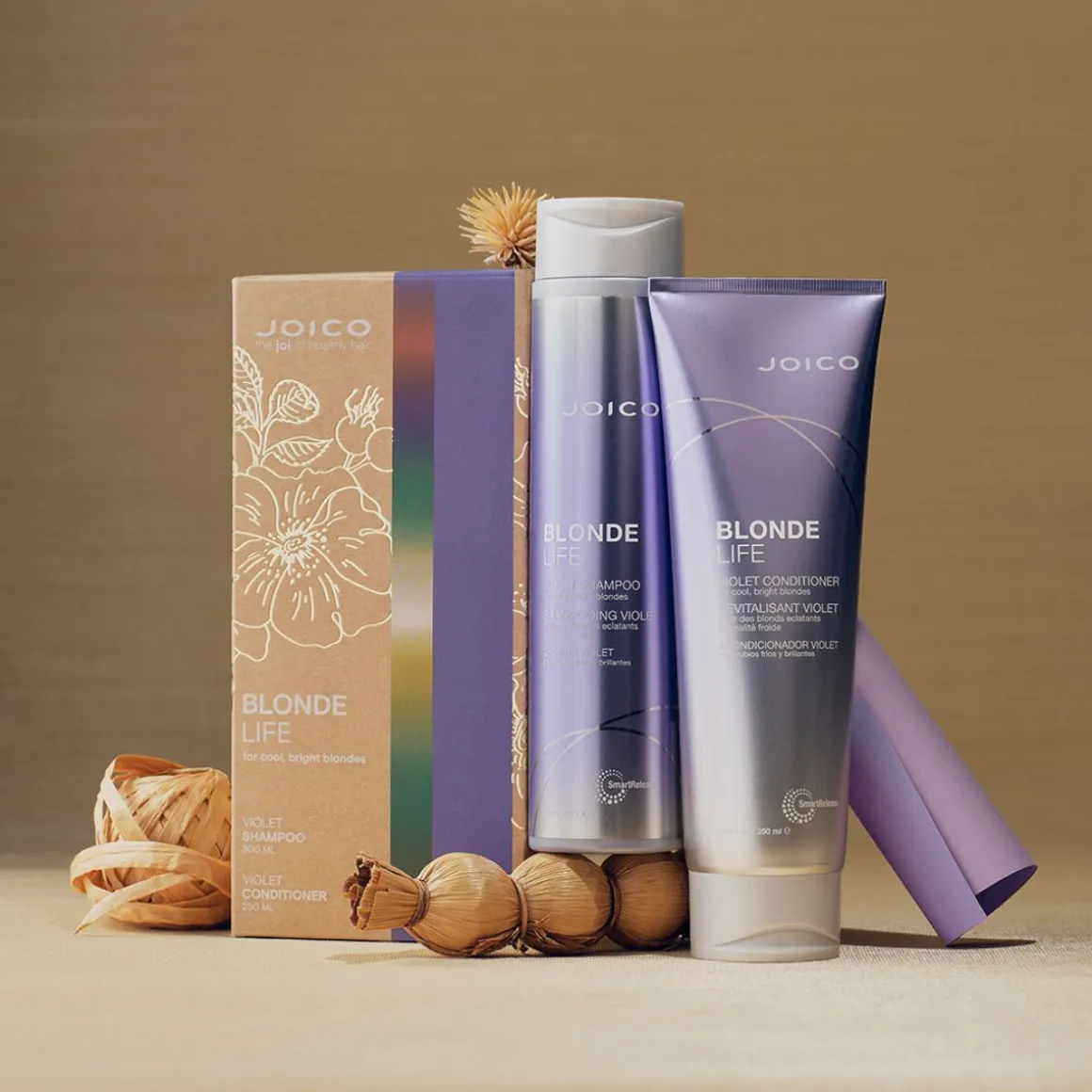 Joico Blonde Life Violet Christmas Gift Set