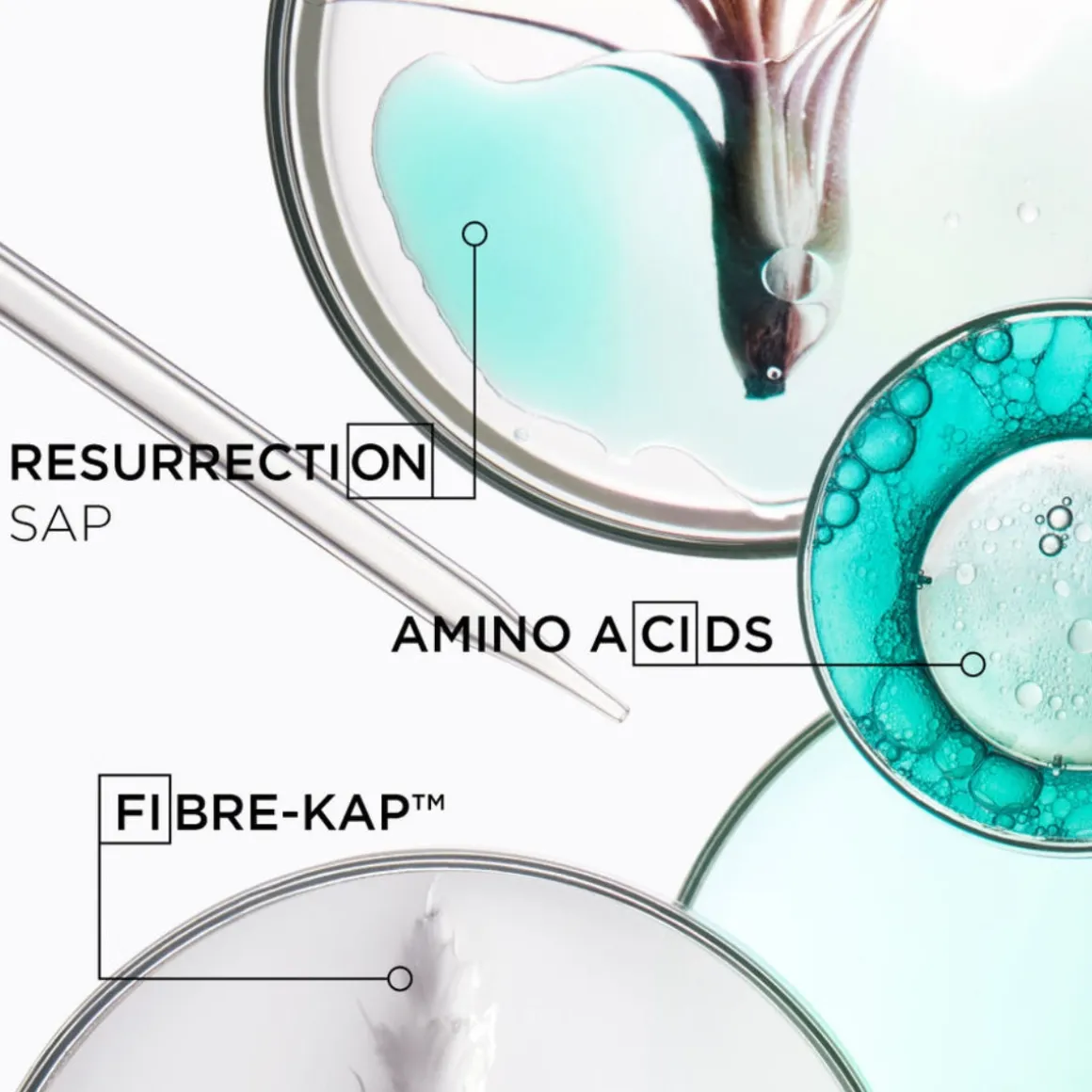 Kérastase Resistance Bain Therapiste Shampoo