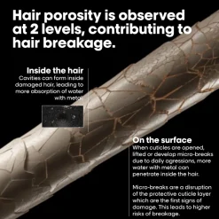 L’Oréal Professionnel Metal Detox Anti-Porosity Filler Pre-Shampoo Treatment 250ml