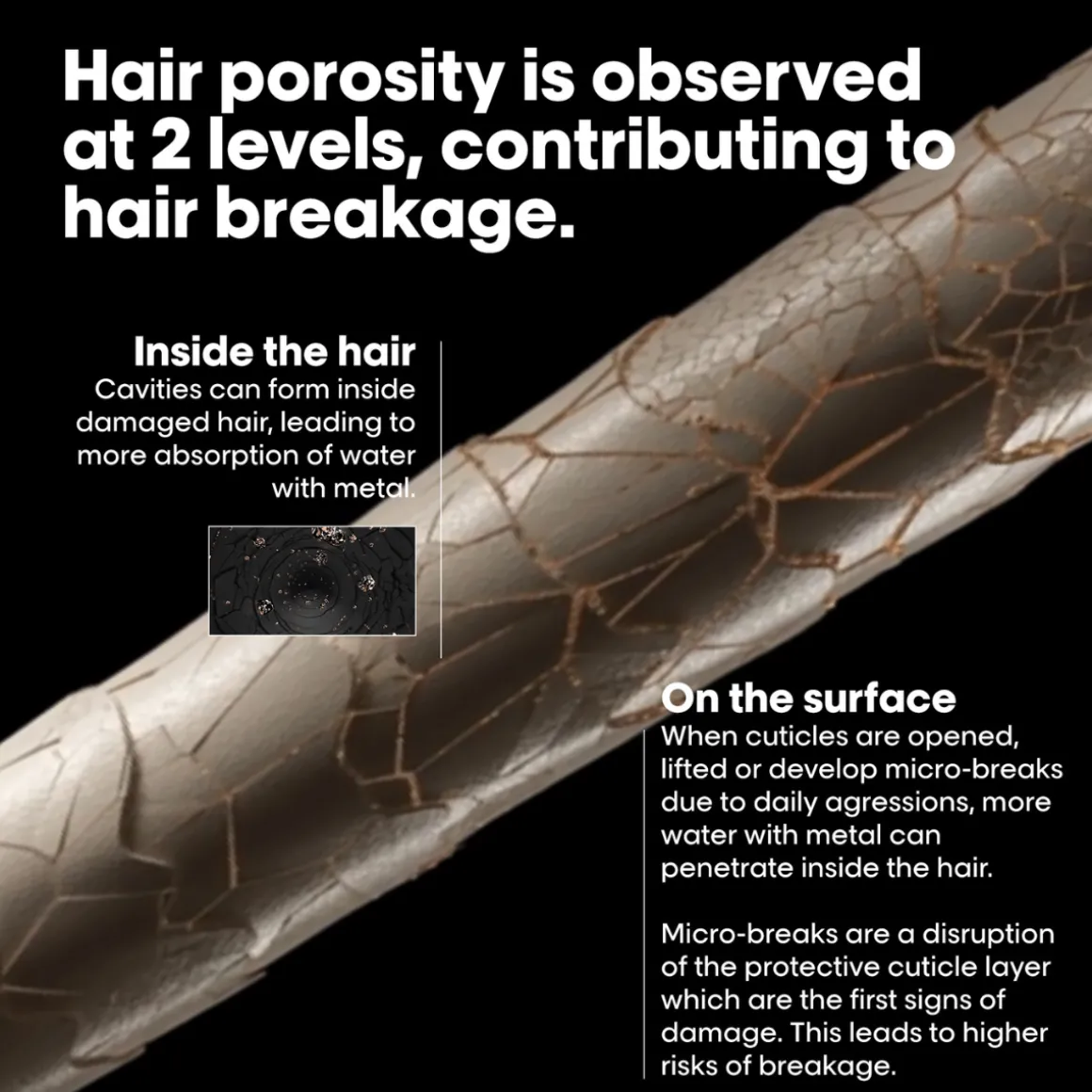 L’Oréal Professionnel Metal Detox Anti-Porosity Filler Pre-Shampoo Treatment 250ml