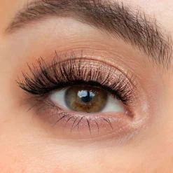 Luna by Lisa Jordan False Eyelashes - Freddy