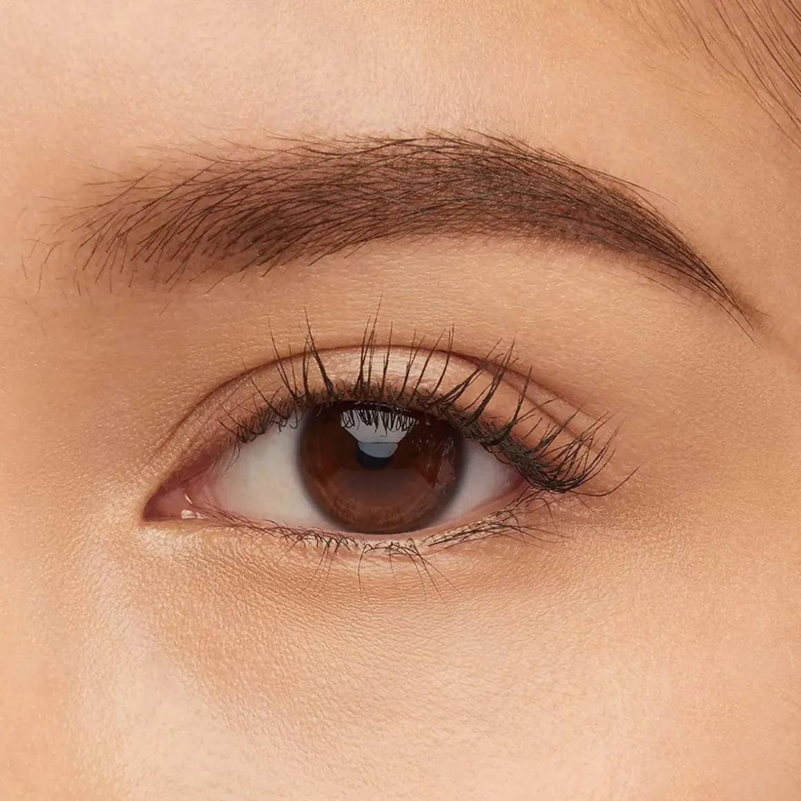Maybelline Express Brow Satin Duo Brunette 03