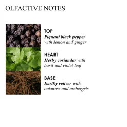 Molton Brown Re-Charge Black Pepper Aroma Reeds Refill