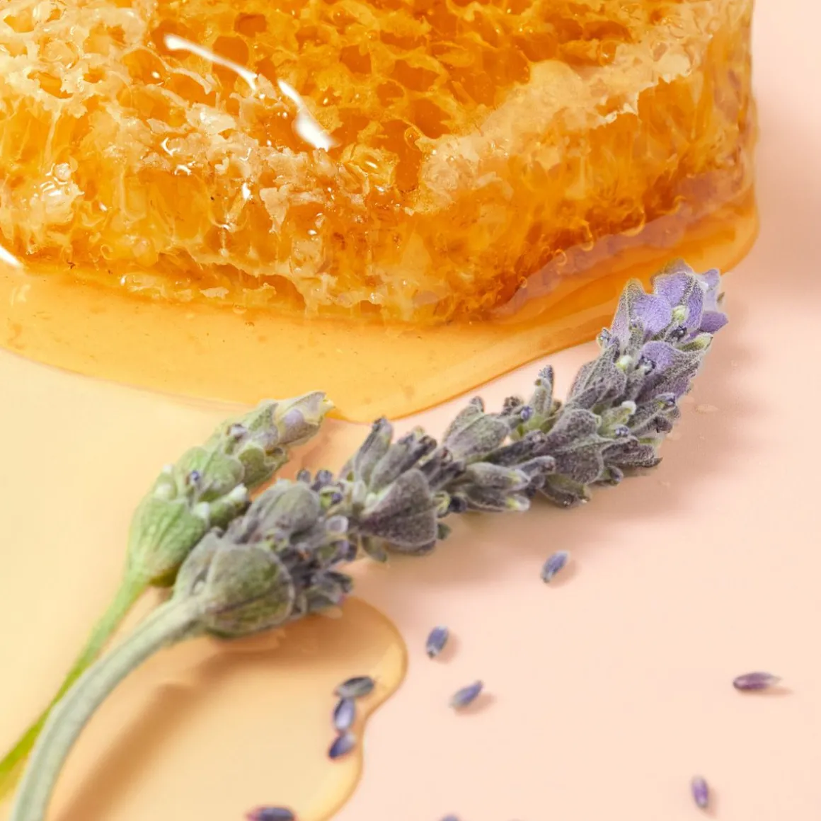 NUXE Reve De Miel Honey Lip Care