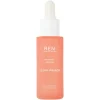 REN Perfect Canvas Clean Primer.