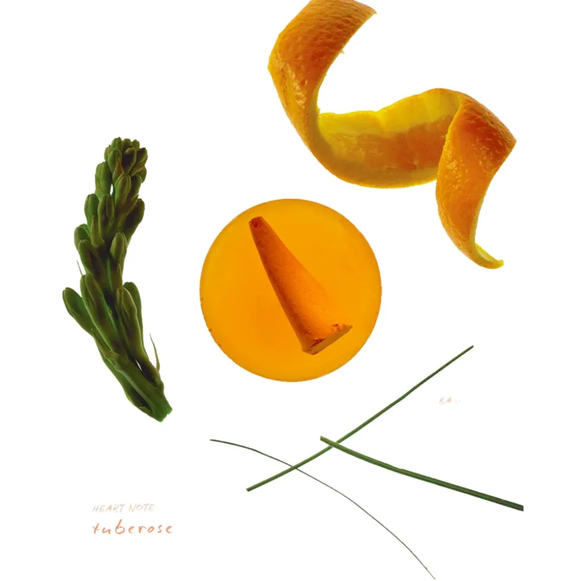 Ripple+ Focus Droplet - Orange Blossom