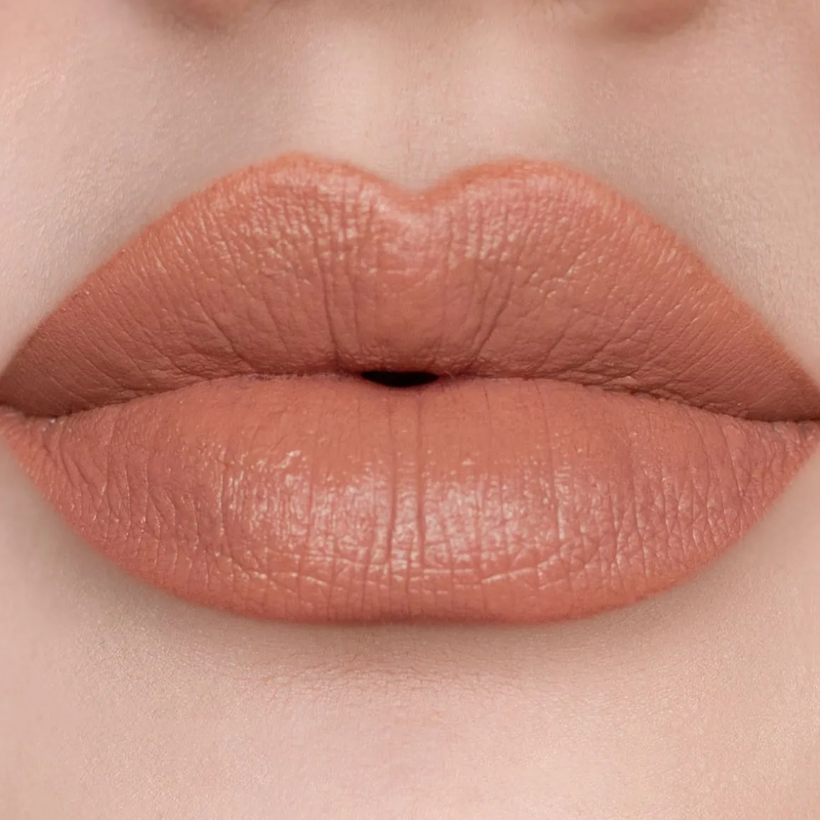 SOSU Cosmetics Nude Lip Kit Nudist.