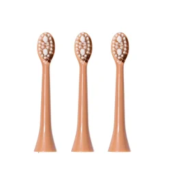 Spotlight  Sonic Toothbrush Replacement Heads - Rose Gold