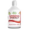 Swedish Nutra Ginseng Energy